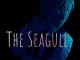 The Seagull 