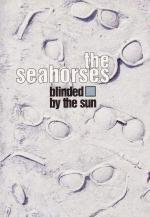The Seahorses: Blinded by the Sun (Vídeo musical)