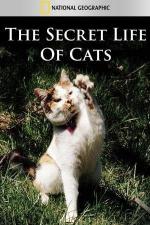 The Secret Life of Cats (TV)