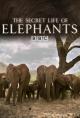 La vida secreta de los elefantes (Miniserie de TV)