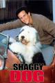 The Shaggy Dog (TV)