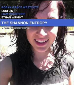 The Shannon Entropy (S)