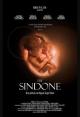 The Sindone 
