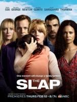 The Slap (TV Miniseries) - Poster / Main Image