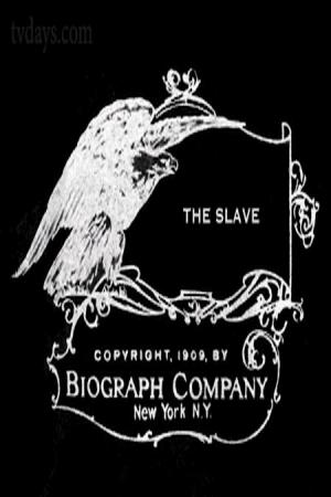 The Slave (C)