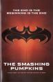 The Smashing Pumpkins: The End is the Beginning is the End (Vídeo musical)