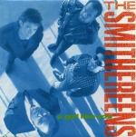 The Smithereens: A Girl Like You (Music Video)