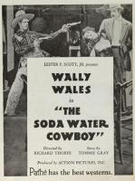 The Soda Water Cowboy  - Poster / Imagen Principal