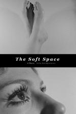 The Soft Space (S)