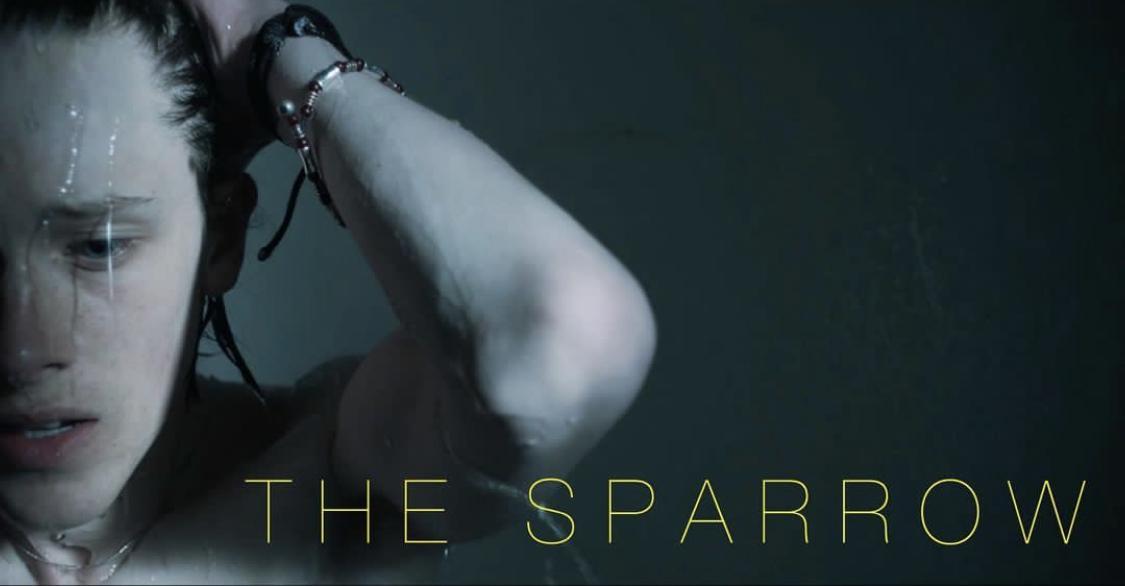 Image Gallery For The Sparrow Filmaffinity