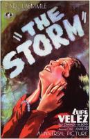 The Storm  - Poster / Imagen Principal