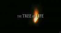 El árbol de la vida  - Fotogramas