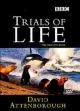 The Trials of Life (TV Series)