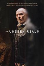 The Unseen Realm 