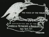 The Voice of the Violin (C) - Poster / Imagen Principal