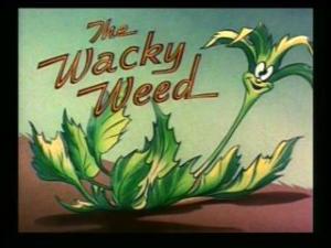 The Wacky Weed (S)