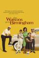 The Watsons Go to Birmingham (TV)