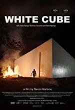 The White Cube 