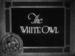 The White Owl (C)