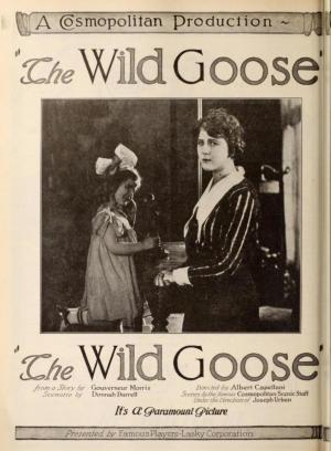 The Wild Goose 