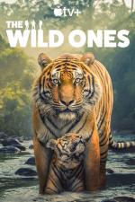 The Wild Ones (TV Series)