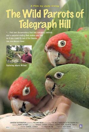 The Wild Parrots of Telegraph Hill 
