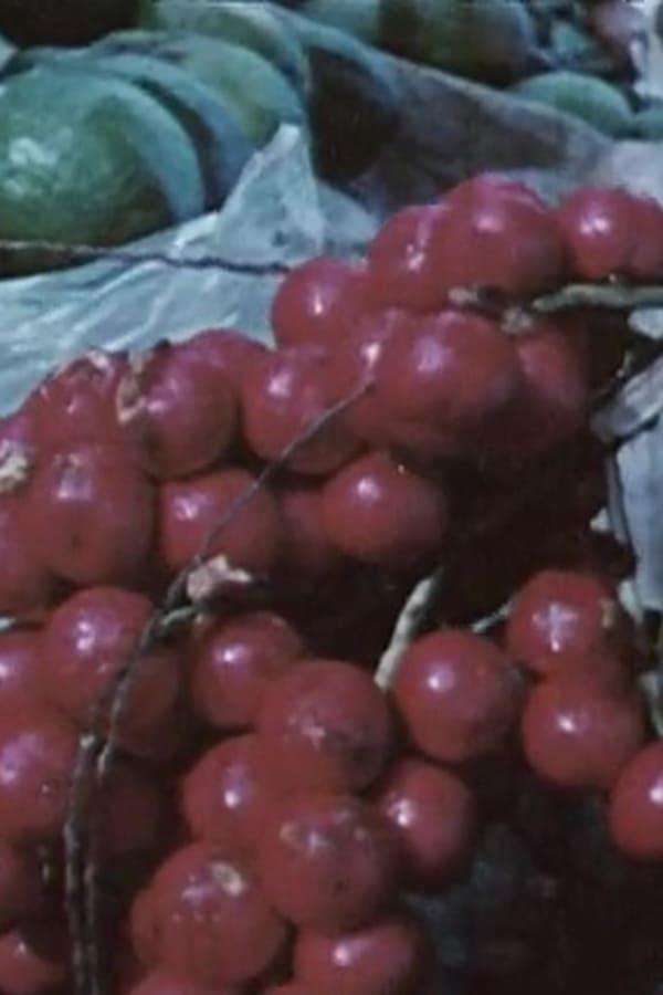 The Wings of Man (C) (1971) FilmAffinity