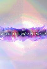 Tecnología animal (Serie de TV)