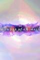 The Wonder of Animals (TV Series)