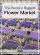 The World's Biggest Flower Market 