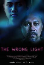 The Wrong Light 