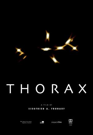 Thorax (C)