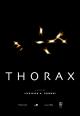 Thorax (S)