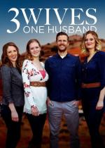 Three Wives, One Husband (TV Series)