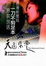 Tian bian yi duo yun (The Wayward Cloud) 