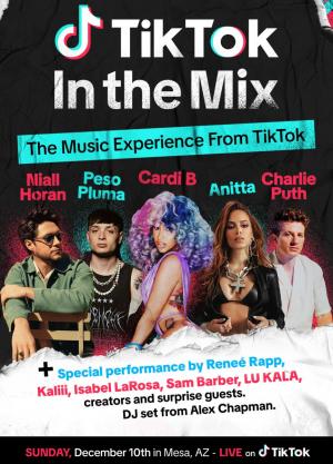 TikTok: In the Mix 