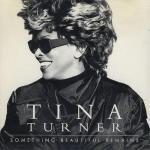 Tina Turner: Something Beautiful Remains (Vídeo musical)