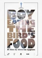 Boy Eating the Bird's Food  - Poster / Main Image