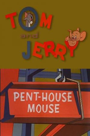 Tom y Jerry: Un ratón de altura (C)