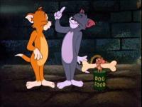 Tom y Jerry: Gatos trocados (C) - Fotogramas