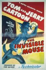 Tom y Jerry: El ratón invisible (C)