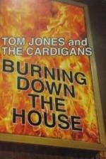Tom Jones & The Cardigans: Burning Down the House (Vídeo musical)