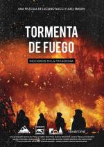 Tormenta de fuego, incendios en la Patagonia 