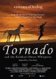 Tornado and the Kalahari Horse Whisperer 