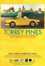 Torrey Pines 