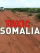 Toxic Somalia: l'autre piraterie (TV)