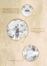 Transfiguration: Slow Approximation 