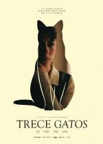 Trece gatos (C)