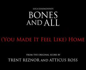 Trent Reznor & Atticus Ross: (You Made It Feel Like) Home (Vídeo musical)