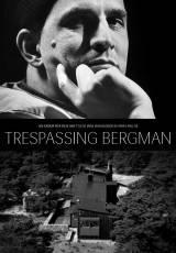 Descubriendo a Bergman 
